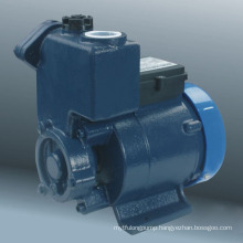 Self-Priming Vortex Pump (DGP Series)